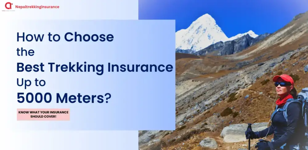 How to Choose the Best Trekking Insurance Up to 5000 Meters?